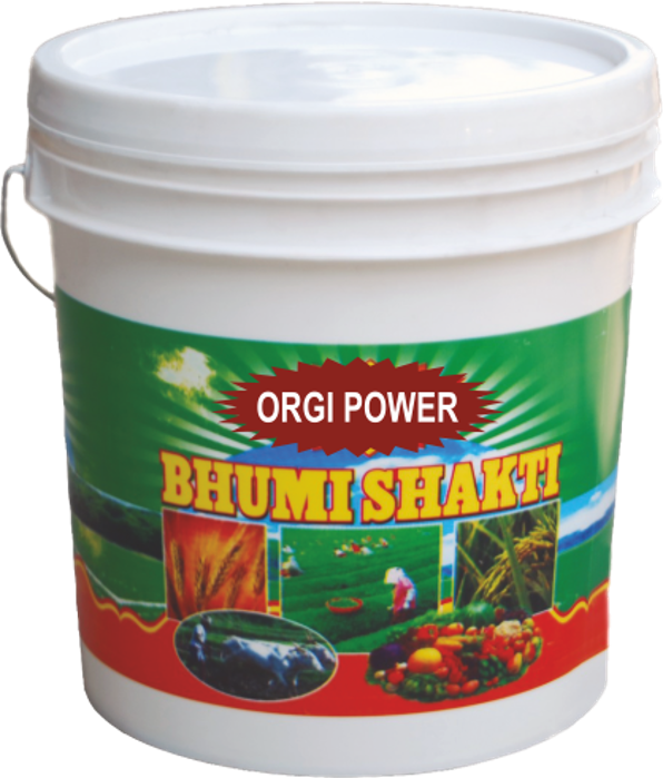 Orgi Power Bhumi Shakti